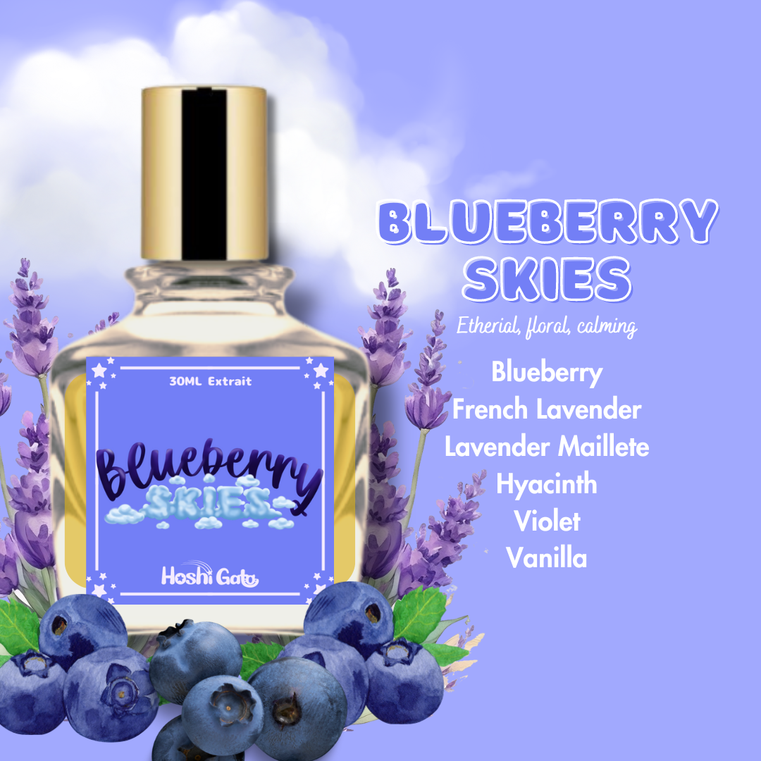 A description for the scent "blueberry skies"  that reads "etherial, floral , calming." and a description of the notes that reads "Blueberry, French Lavender, Lavender Maillette, hyacinth, violet, and vanilla"