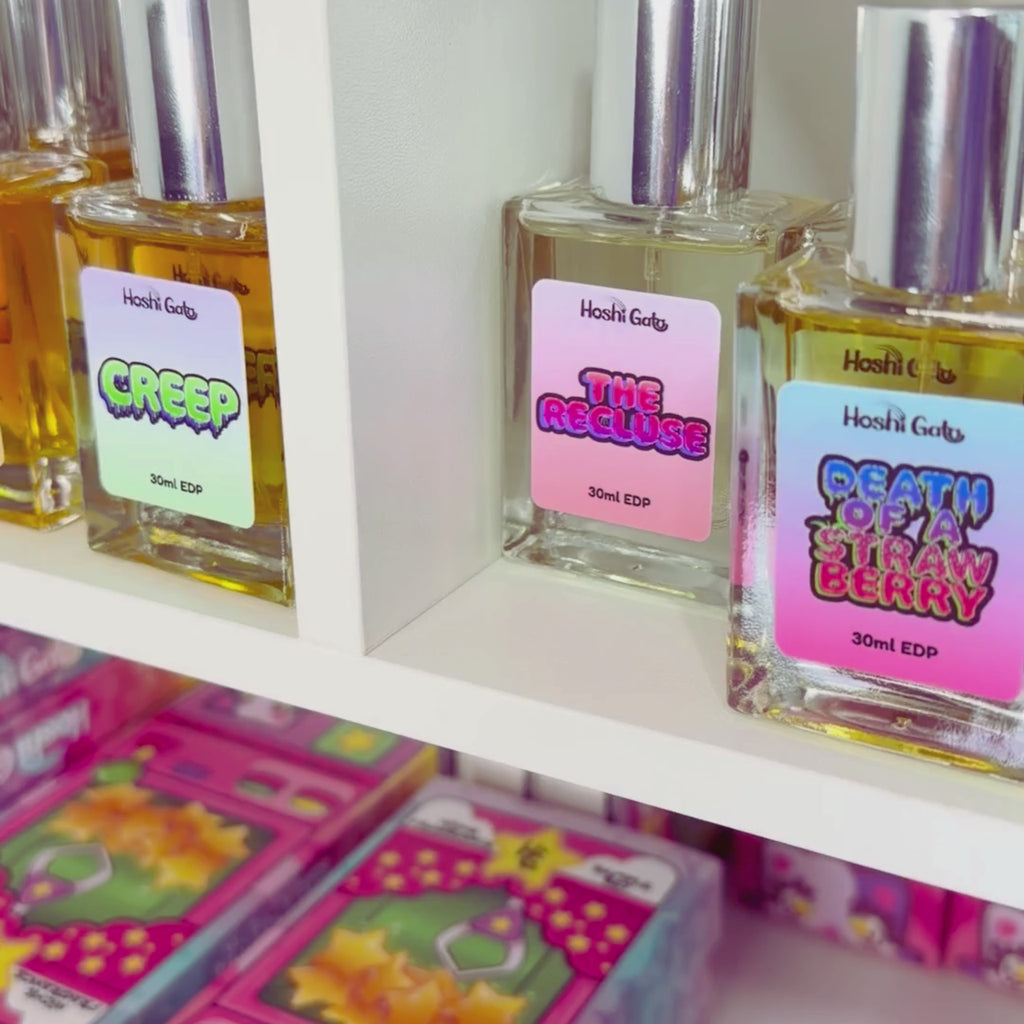 The Recluse being placed on a shelf video.